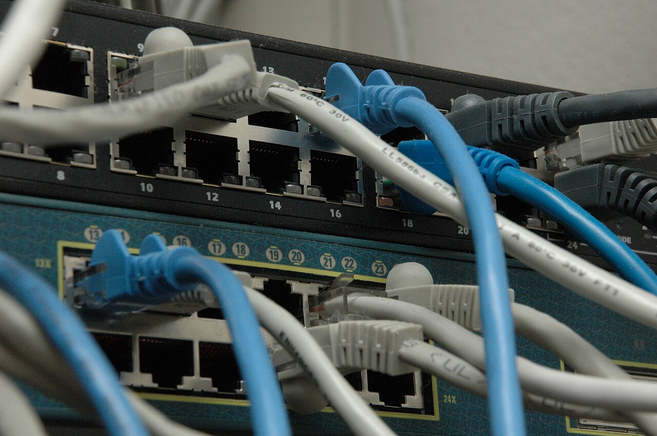 Blue and grey network cables connected to an Ethernet switch